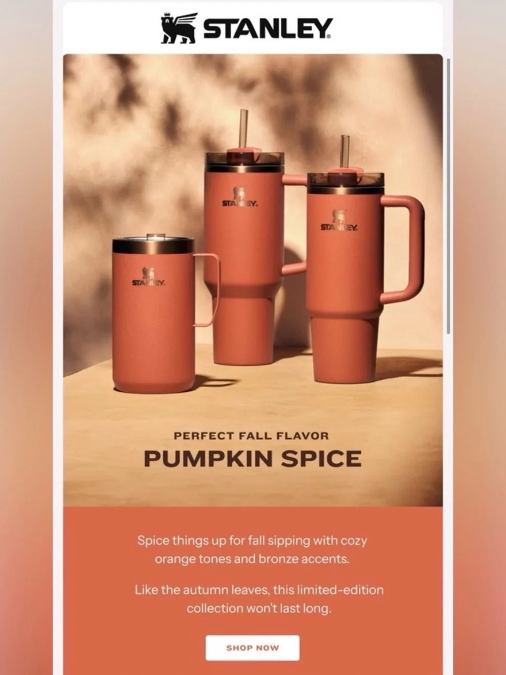 Pumpkin Spice Stanley 40 oz Quencher Tumbler - 2024 Fall Limited Edition - NEW - Picture 2 of 2